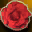 One Red Rose Bud