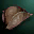 Pig Wrangler's Cap