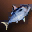 Blue Nimble Fish