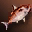 Small Red Nimble Fish - Upper Grade
